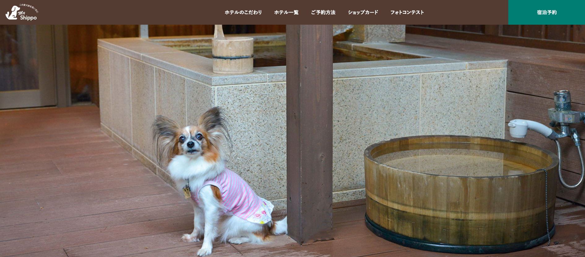 愛犬と一緒に宿泊できるホテル　箱根　2021年版