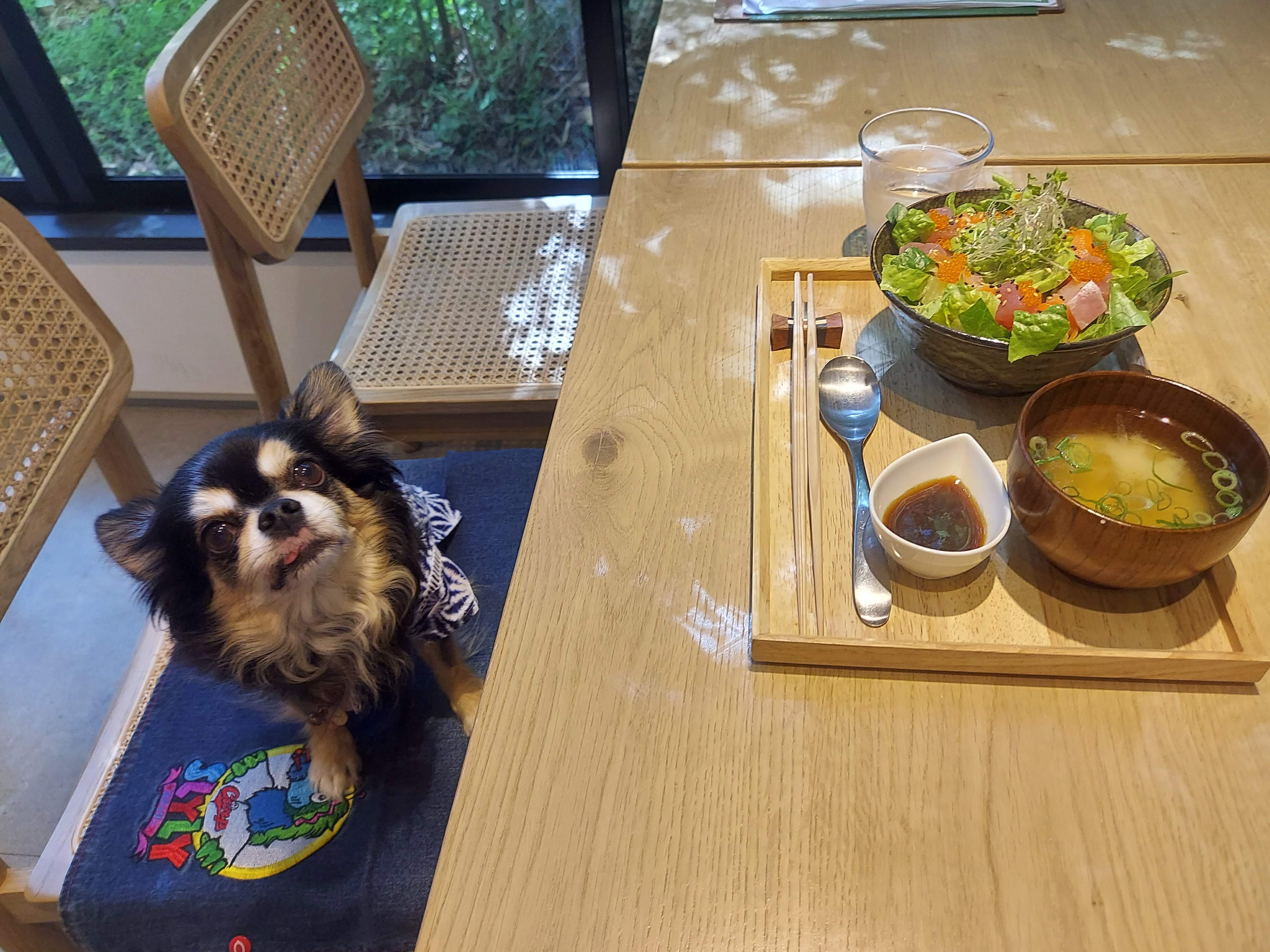 WHY BOWL(ワイボウル)