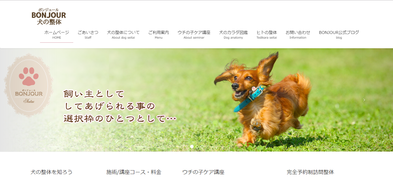 犬の救命・救急講座