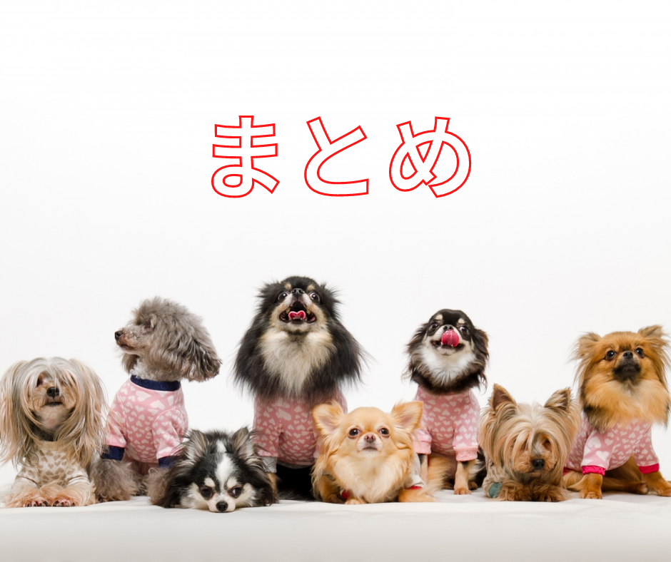 愛犬が自宅で感じるストレスは?早めに気づくためにチェックしよう!