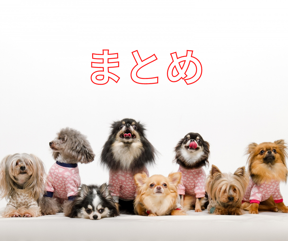 愛犬が自宅で感じるストレスは？早めに気づくためにチェックしよう!