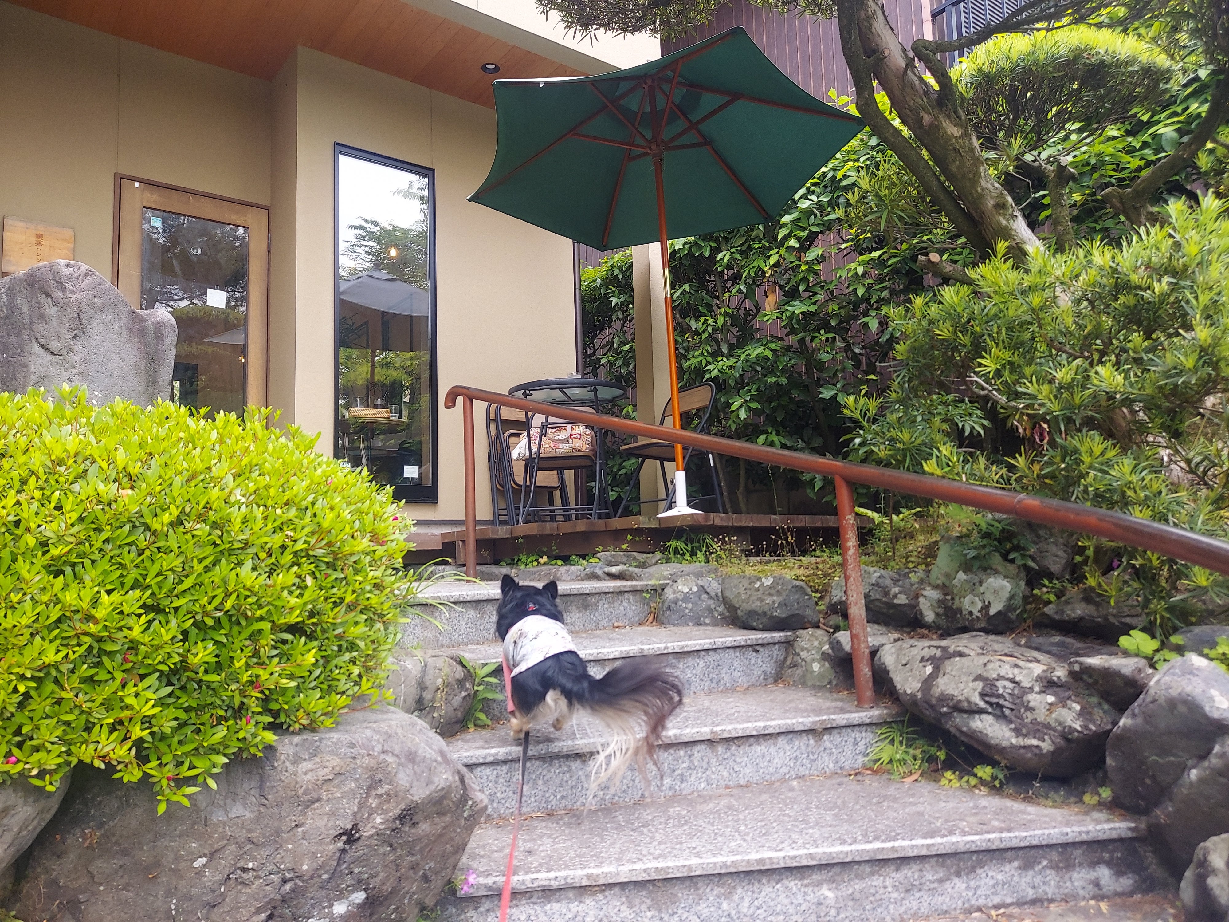 喫茶コンソラ