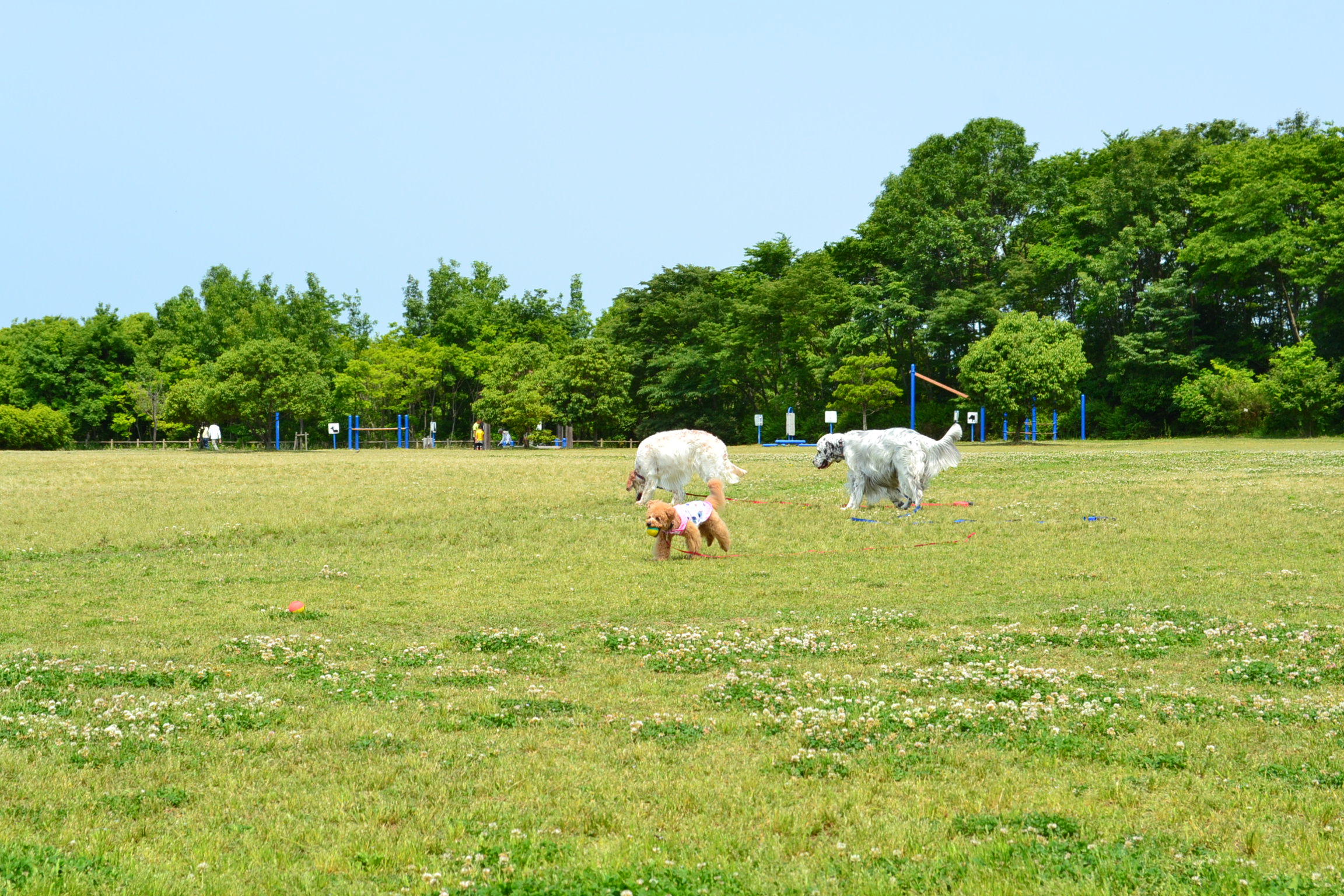 戸田川緑地