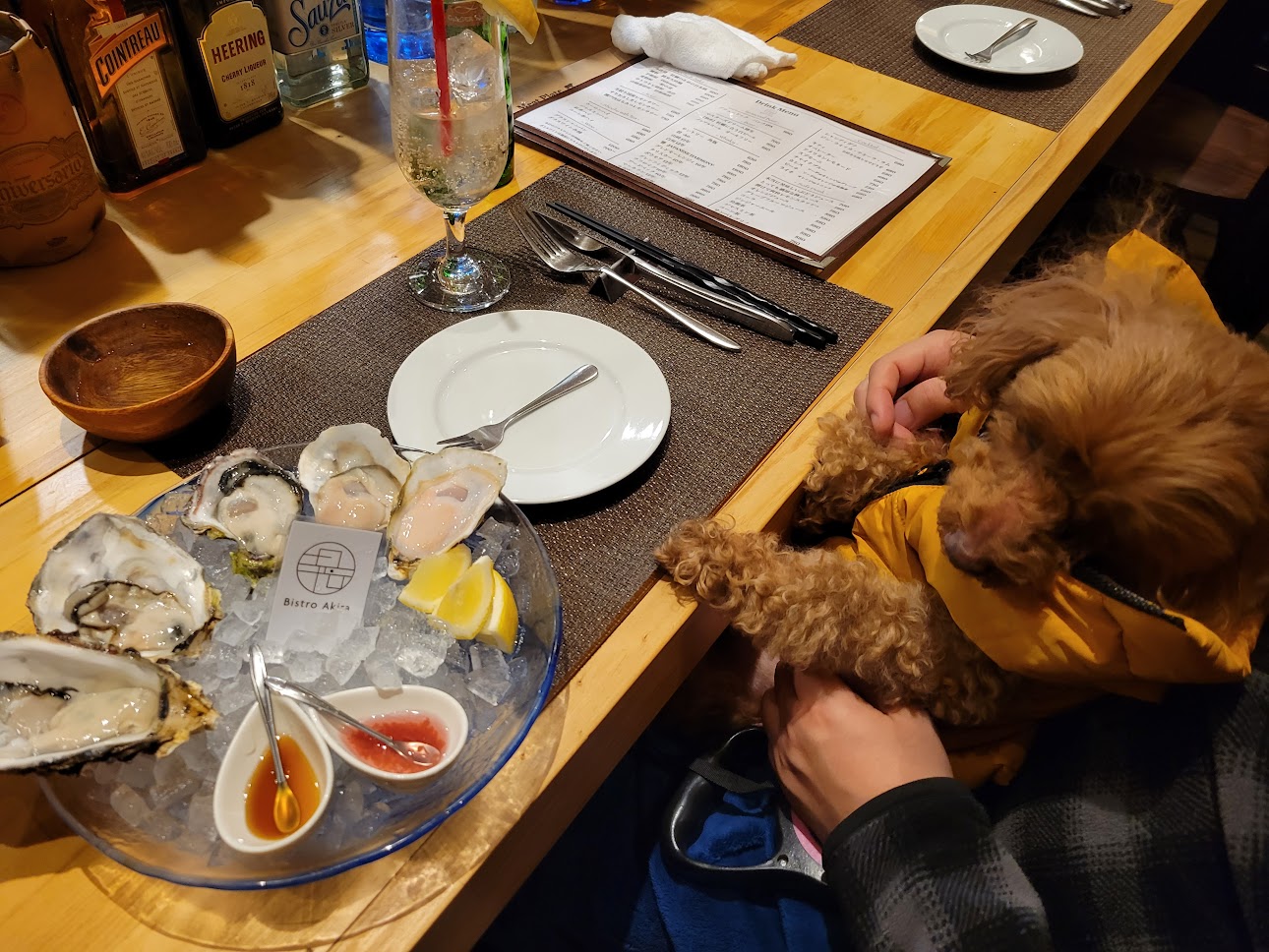 四ツ橋・新橋　牡蠣と肉たらしビストロAKIRA