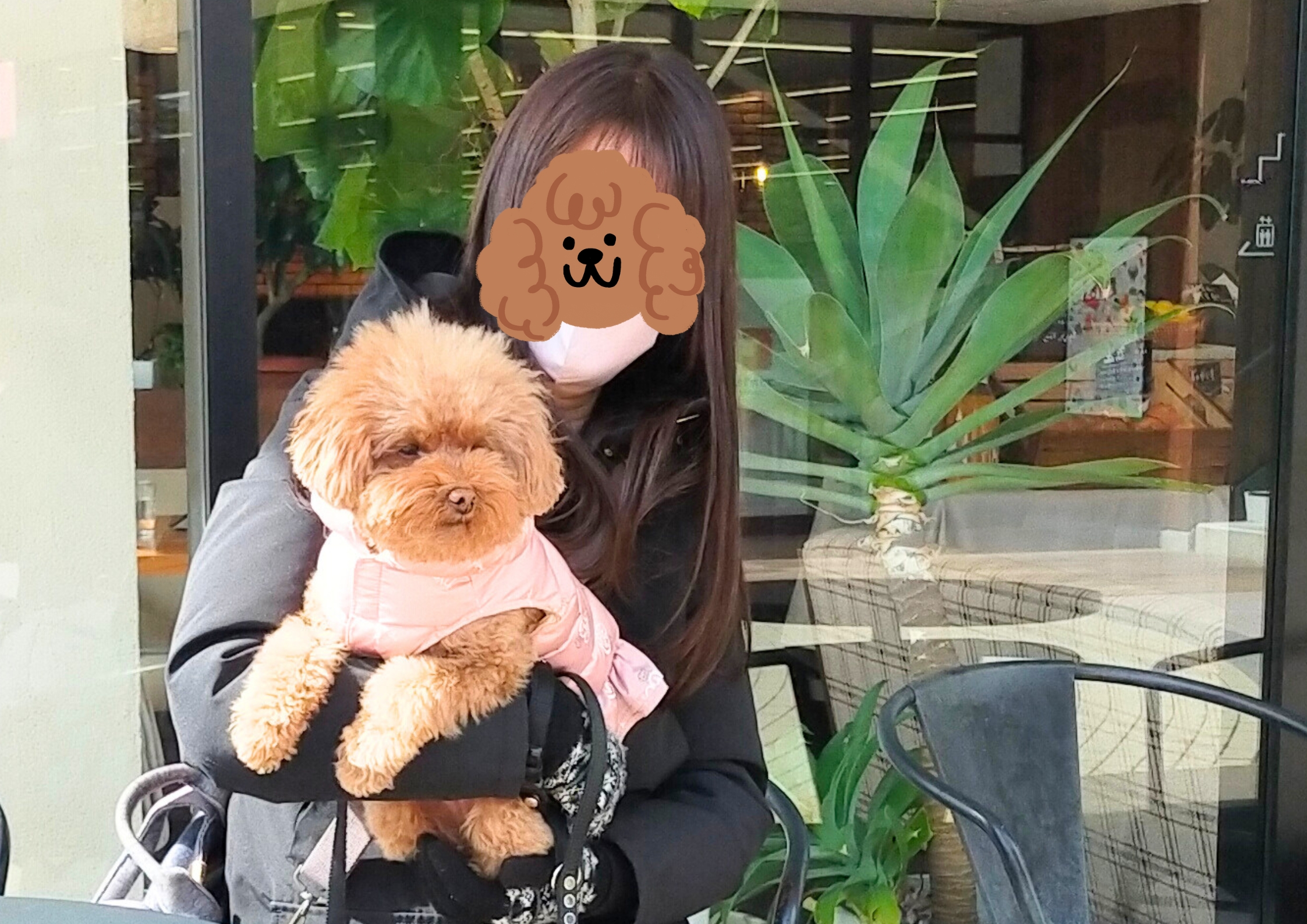マザームーンカフェ