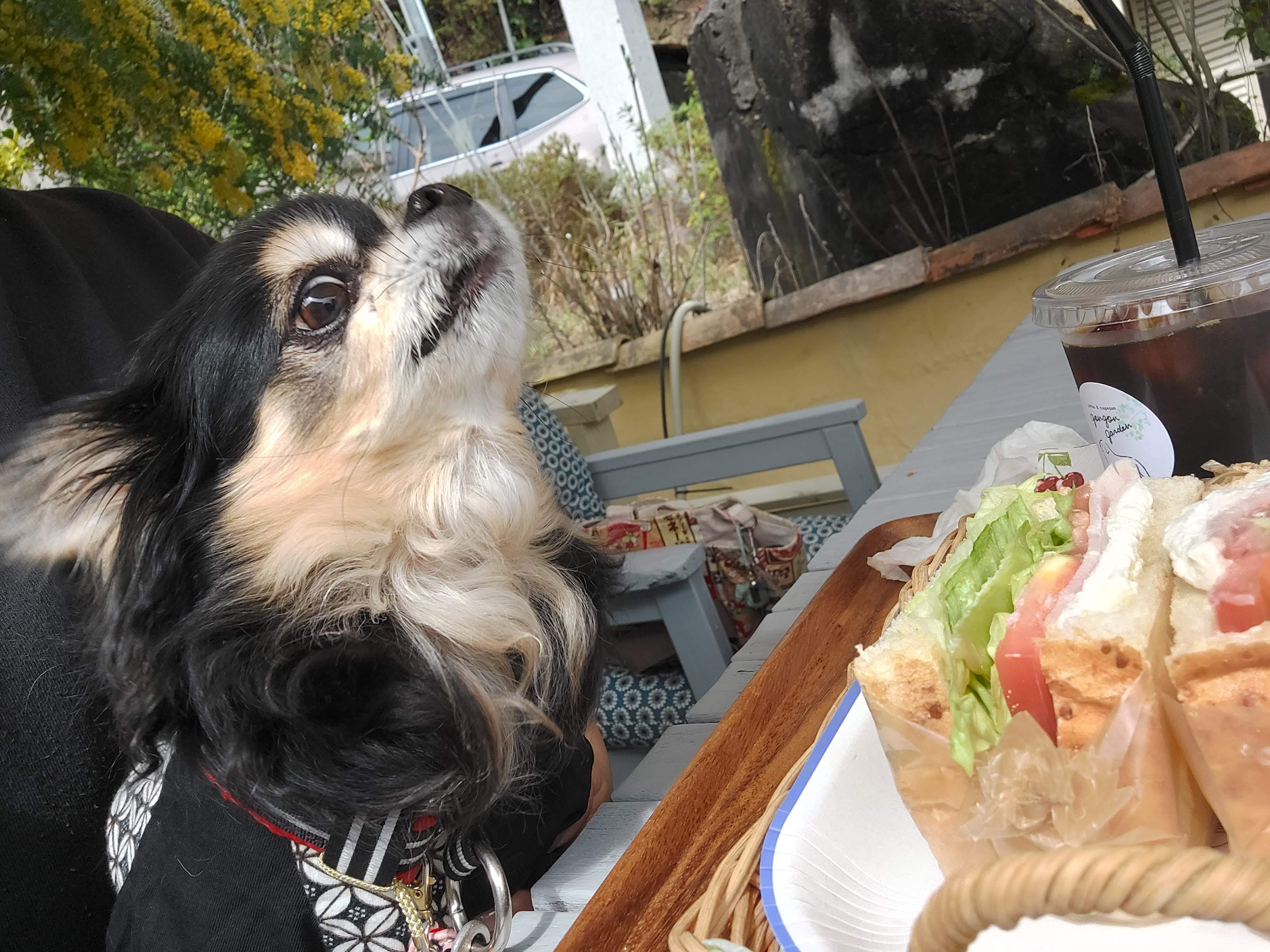 gongoncafe(ごんごんカフェ)