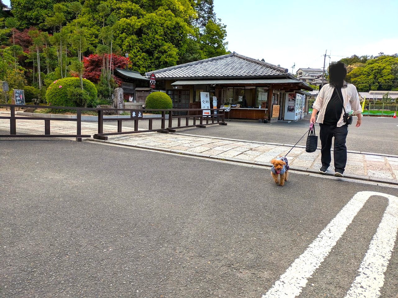 TERAカフェ花美津姫