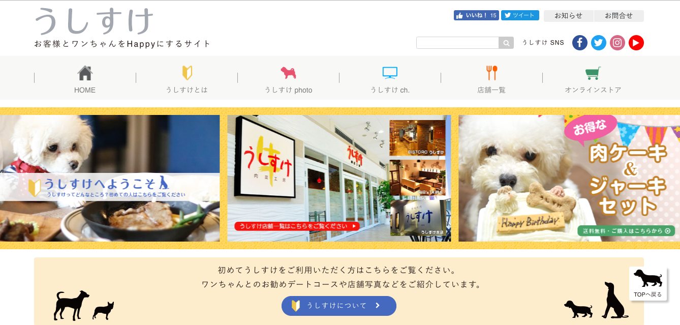 【関東】〜屋内の愛犬インスタ映えスポット まとめ〜