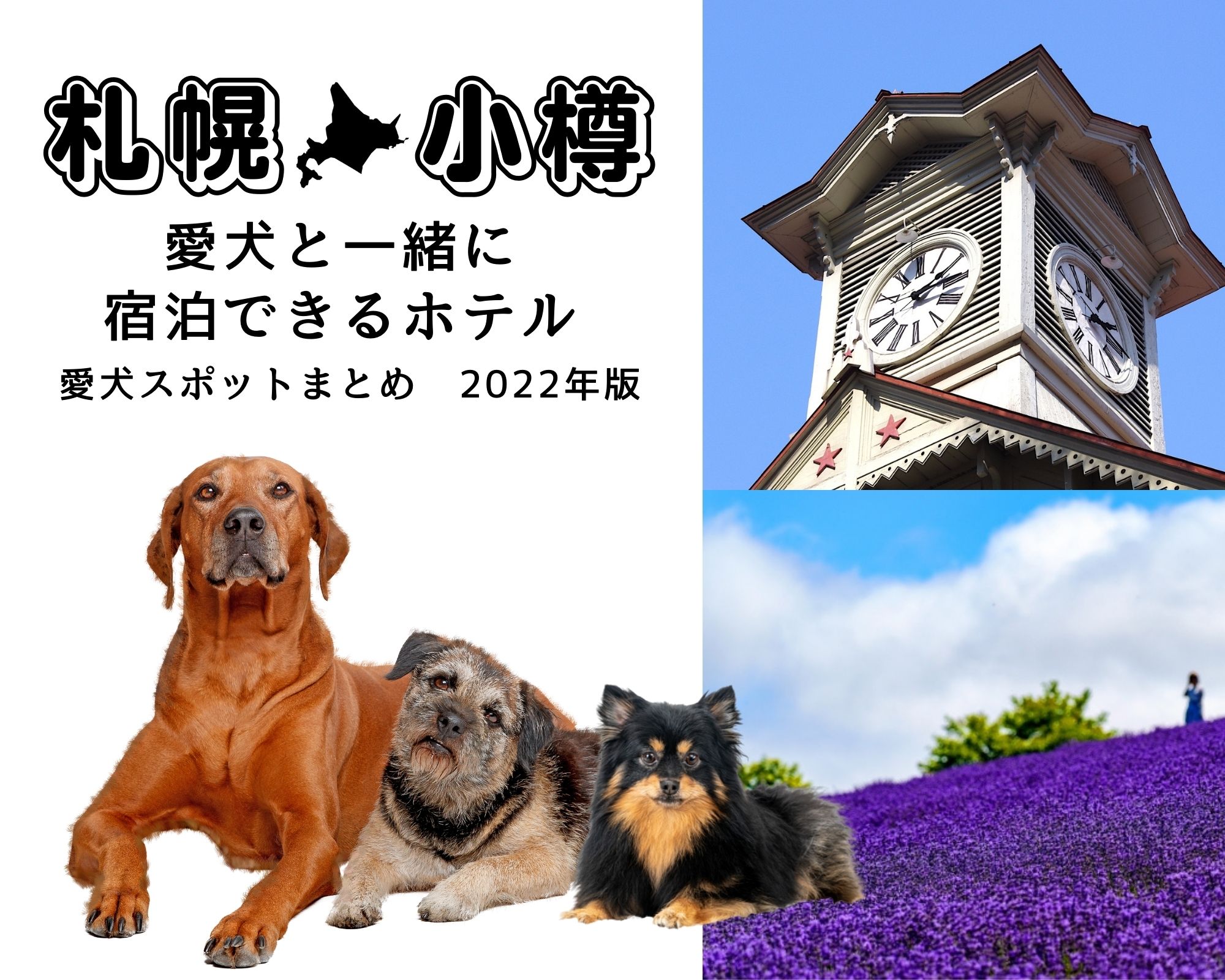 22年版 札幌 小樽 愛犬と一緒に宿泊できるホテル ペットと一緒 22年版 札幌 小樽 愛犬と一緒に宿泊できるホテル ペットと一緒