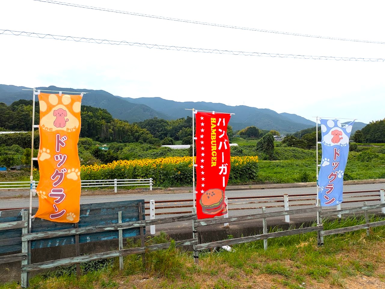 カントリーロード
