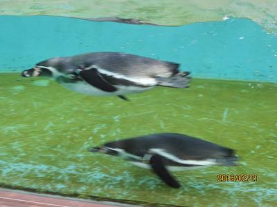 夢見ヶ崎動物公園