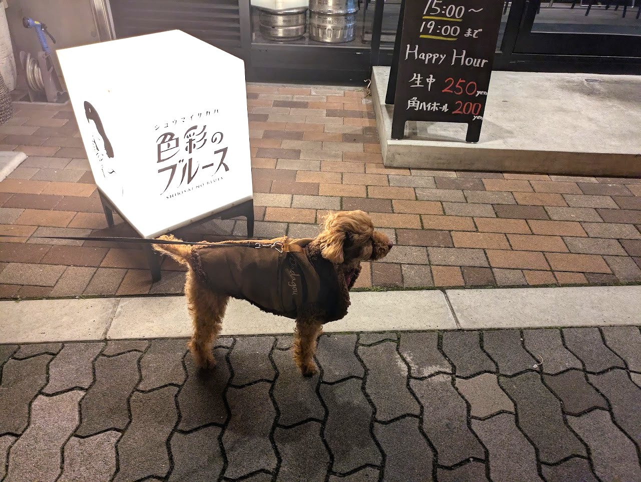 シュウマイ酒場