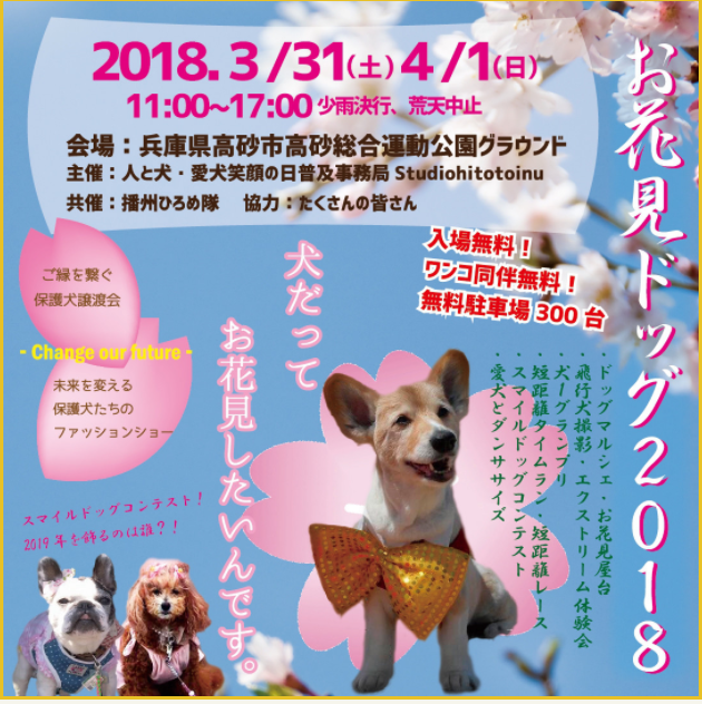 お花見ドッグ2018