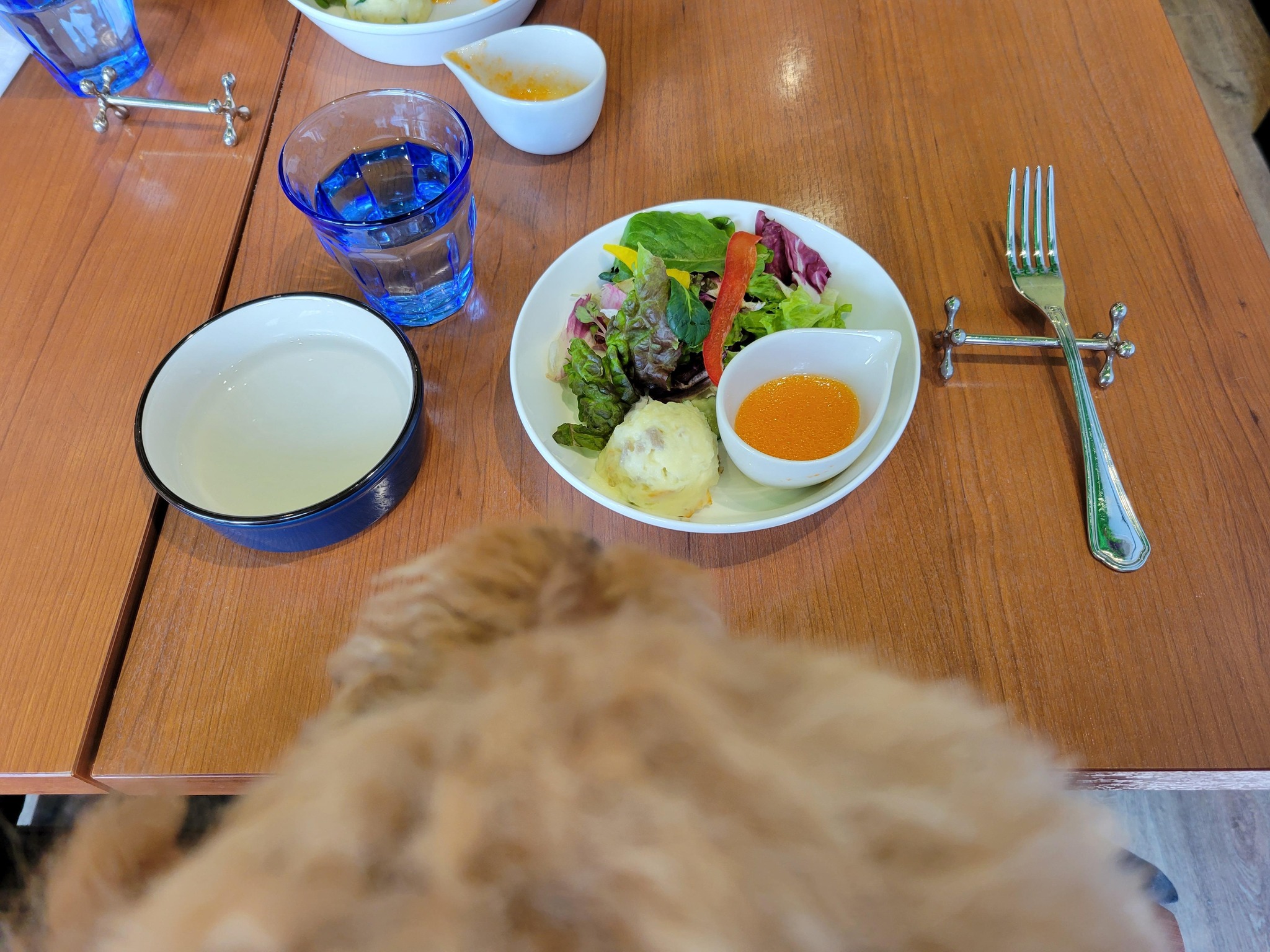 スーパーラブドックス