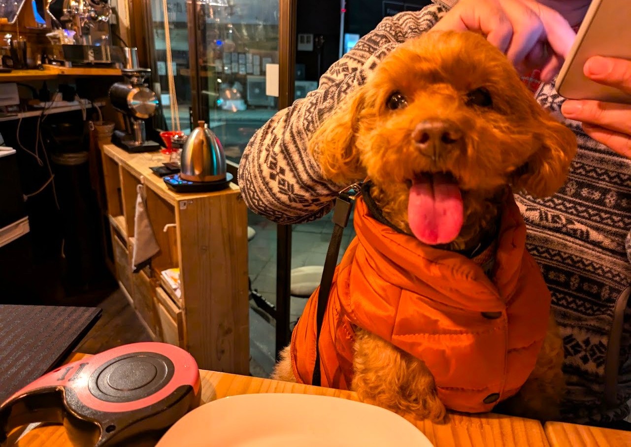 ビストロアラメゾン