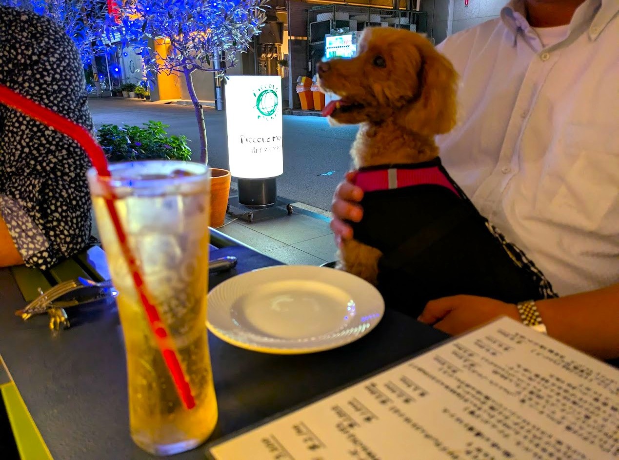 ピッコロモンド