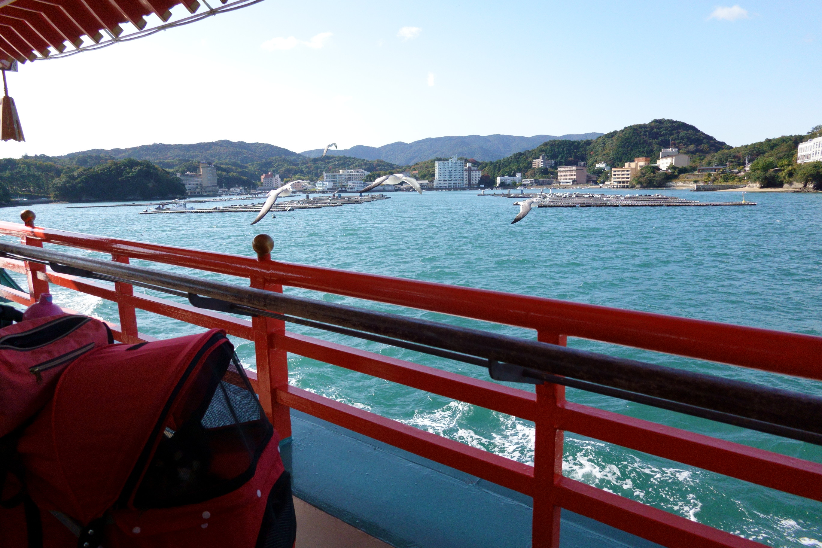 鳥羽湾めぐりとイルカ島クルージング