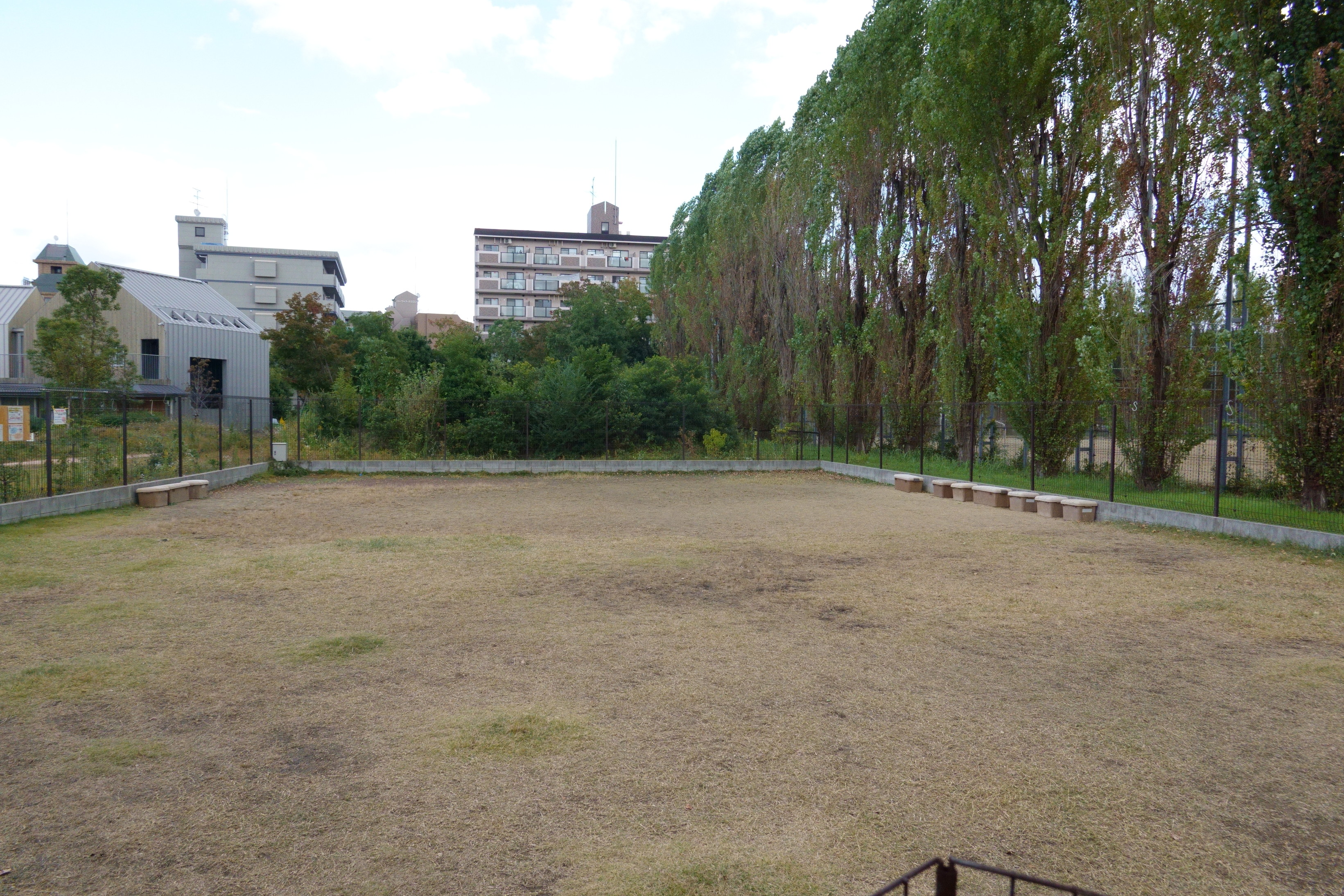 鶴見緑地パートナードッグタウン