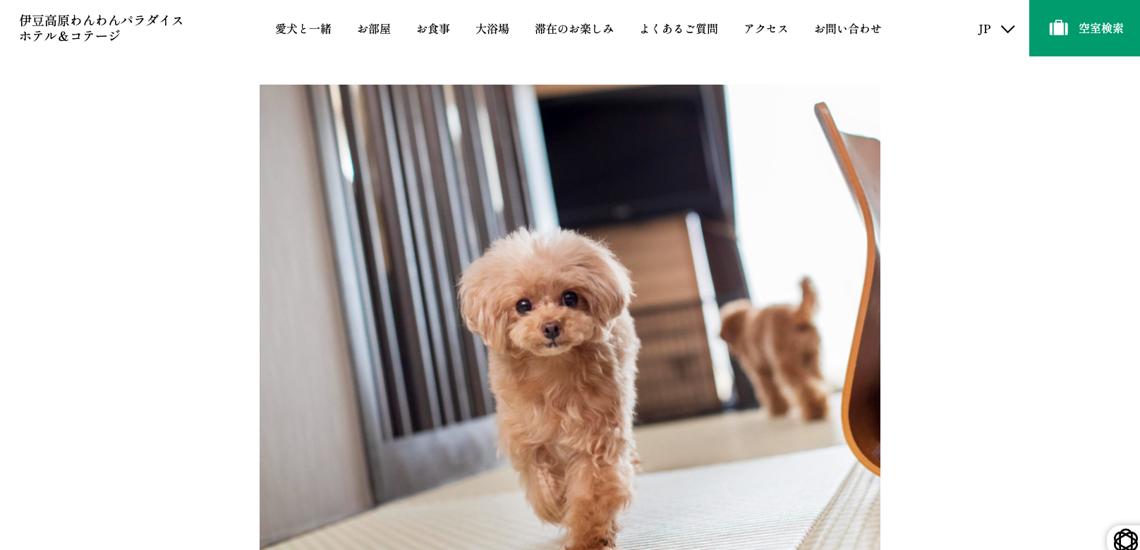 犬と入れる温泉・銭湯・岩盤浴特集