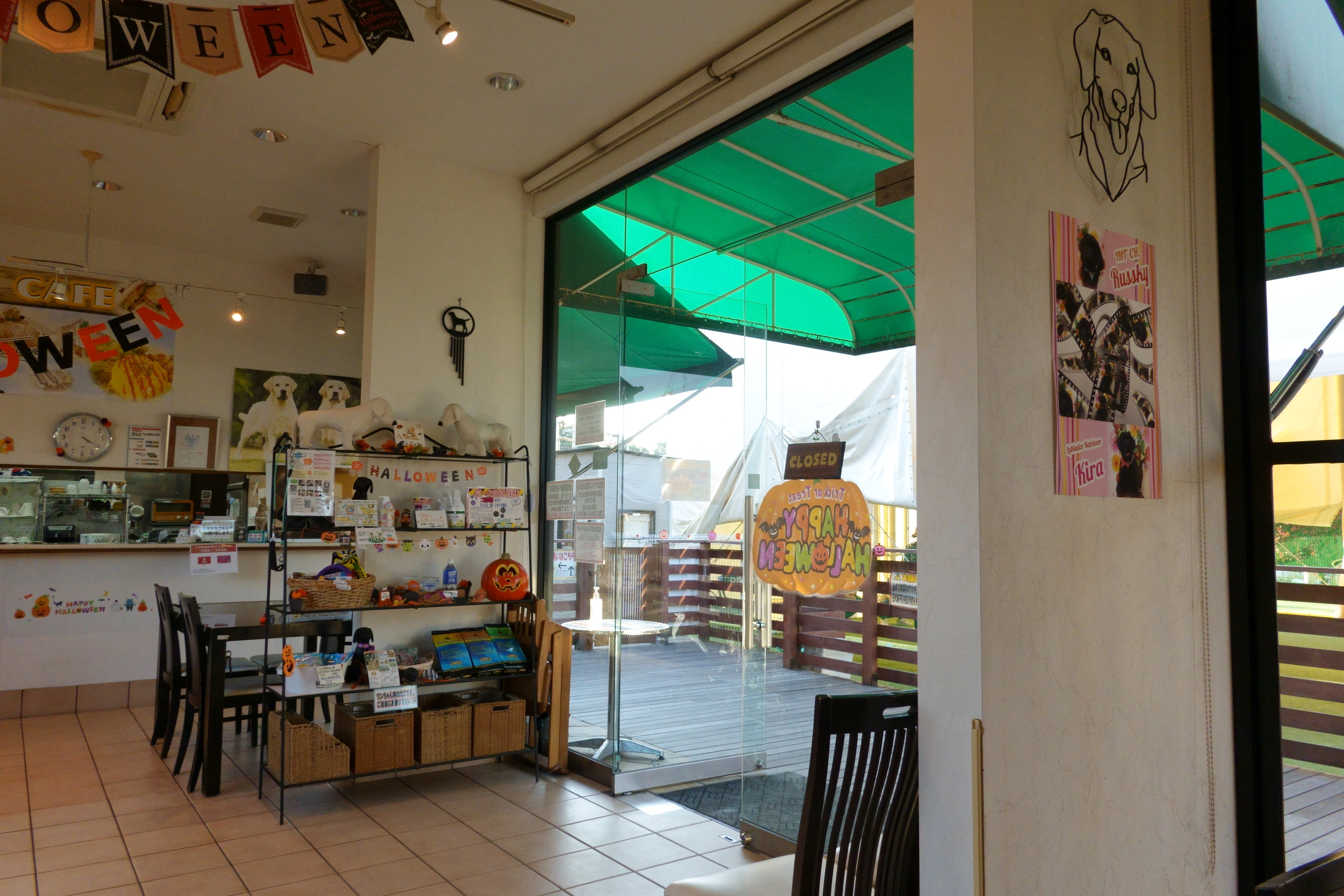 ペットランドミクニ泉ヶ丘店