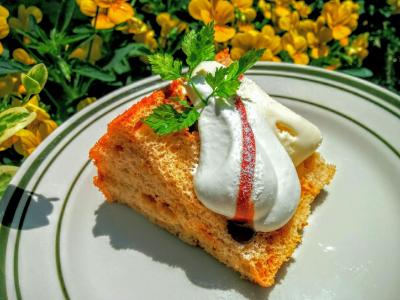 【兵庫Part 1】愛犬と美味しいケーキが食べられるお店