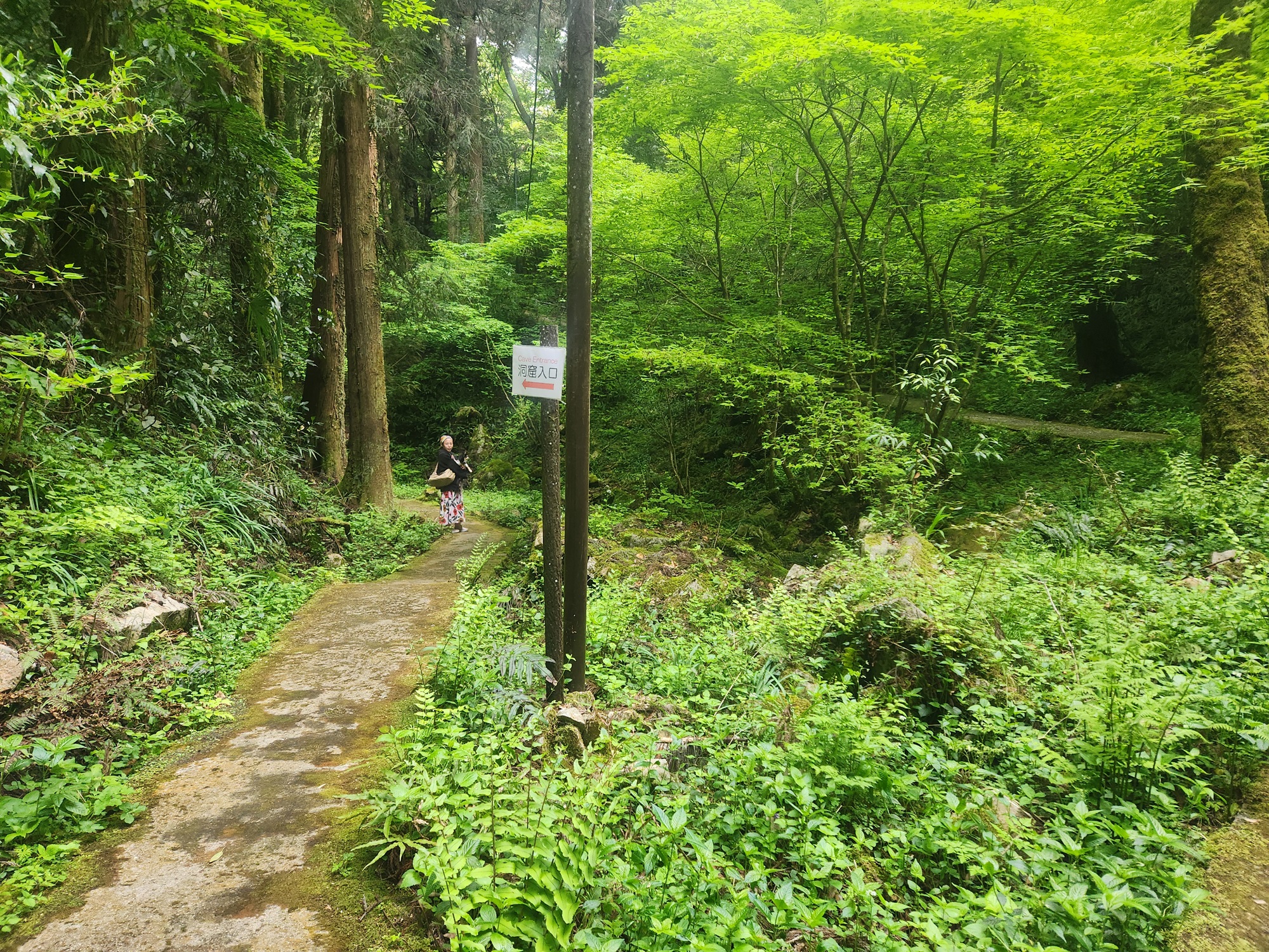 天然記念物 大正洞(たいしょうどう)