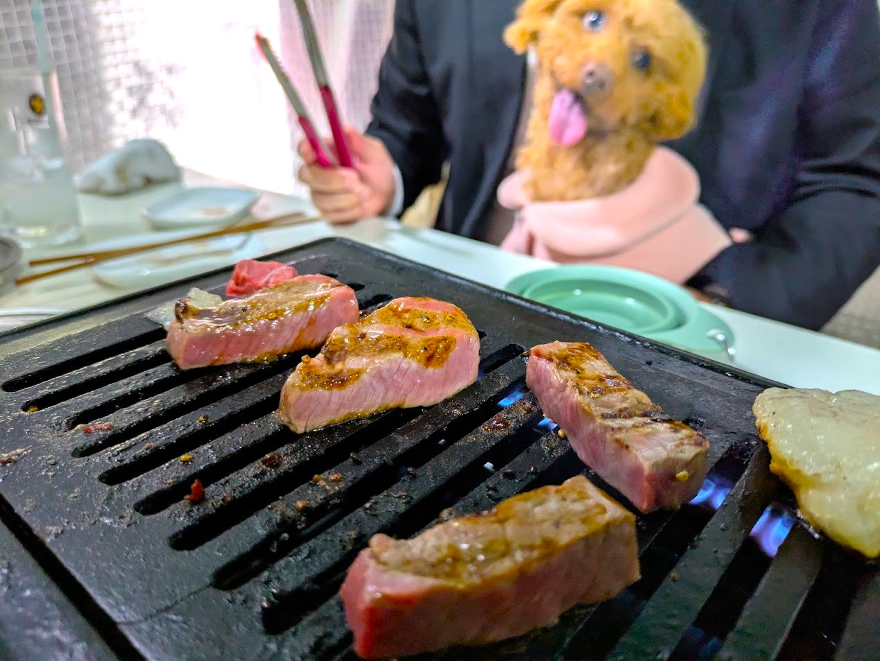 ホルモン福゜福゜