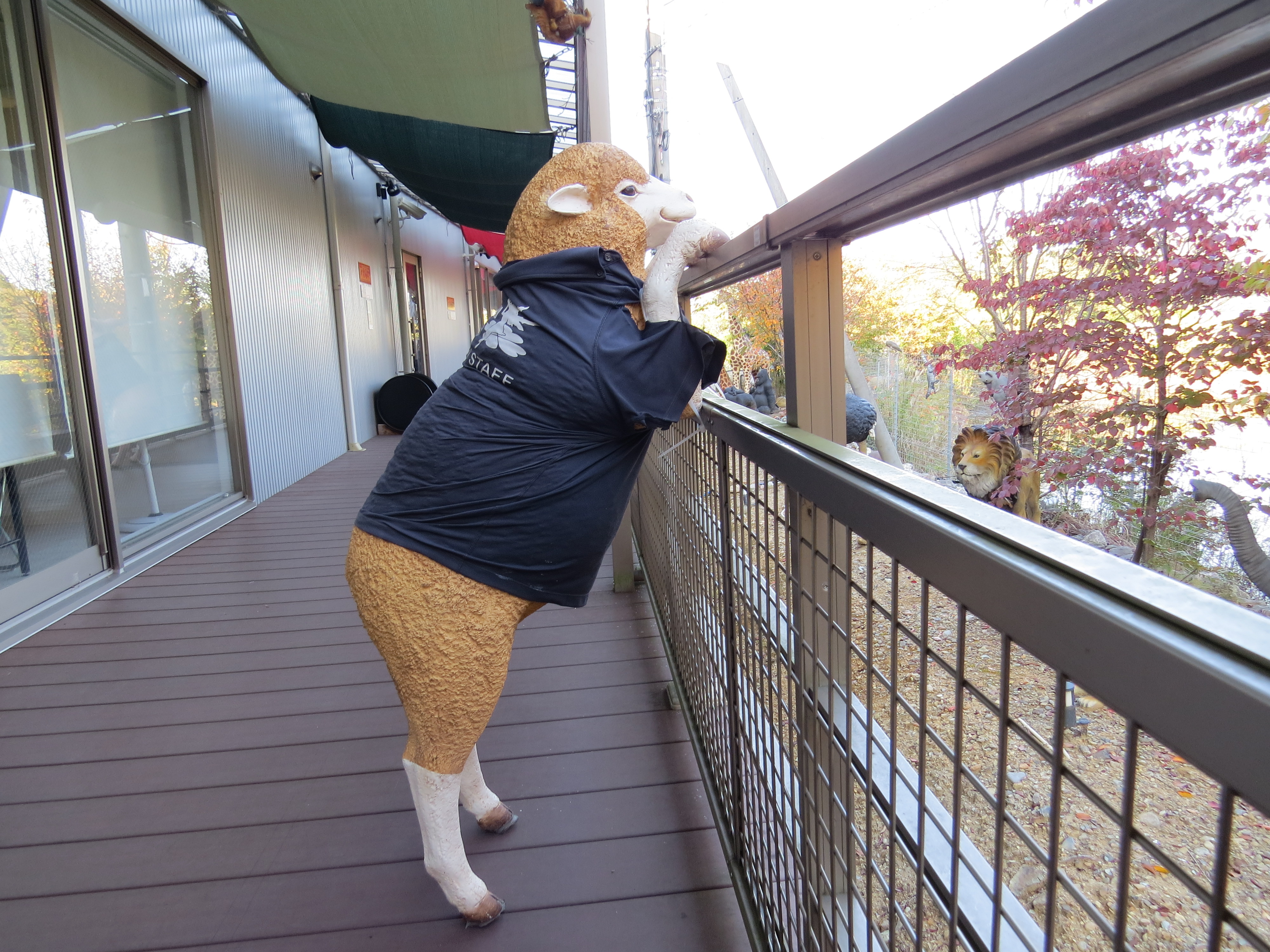 JANGLE CHICKEN(ジャングルチキン)