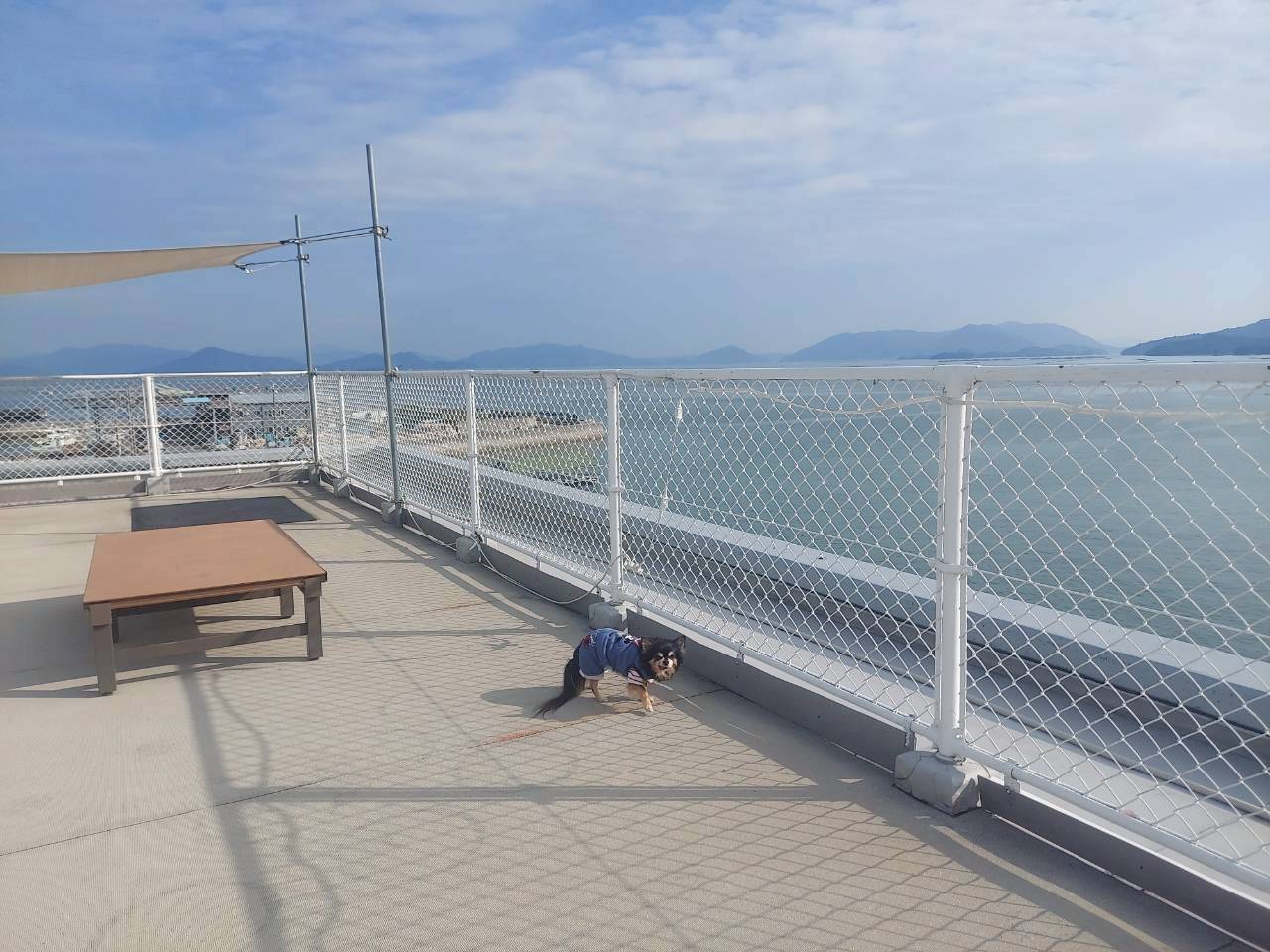 おもてなしホステル宮島