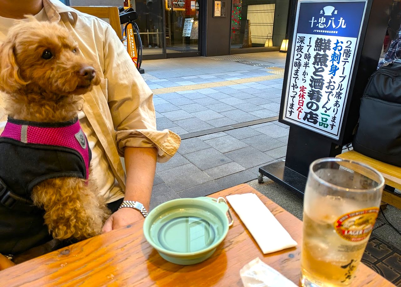 魚屋十忠八九