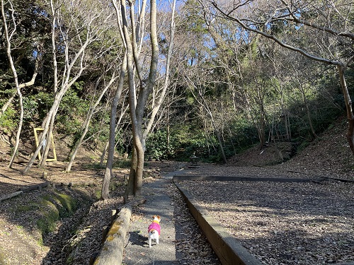 神奈川県