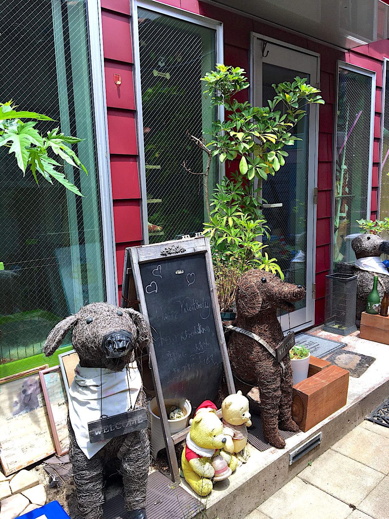 新中野駅 中野駅 Terries Dog Cafe そら ず テリーズ ドッグカフェ 犬の食育士がオーナーの一軒家カフェ 犬 ペット同伴可 東京都中野区 ペットと一緒