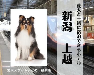 新潟