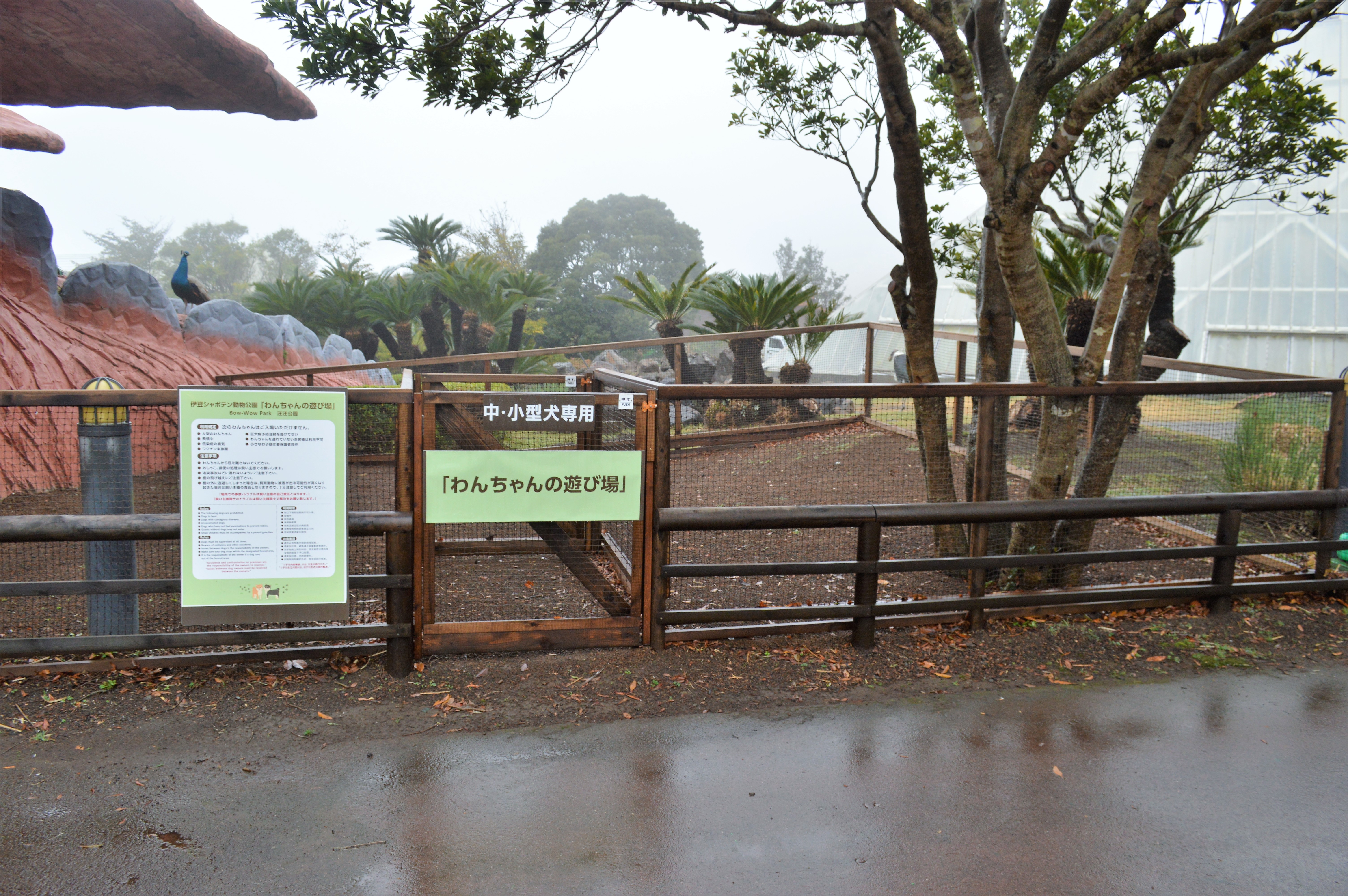 伊豆シャボテン動物公園