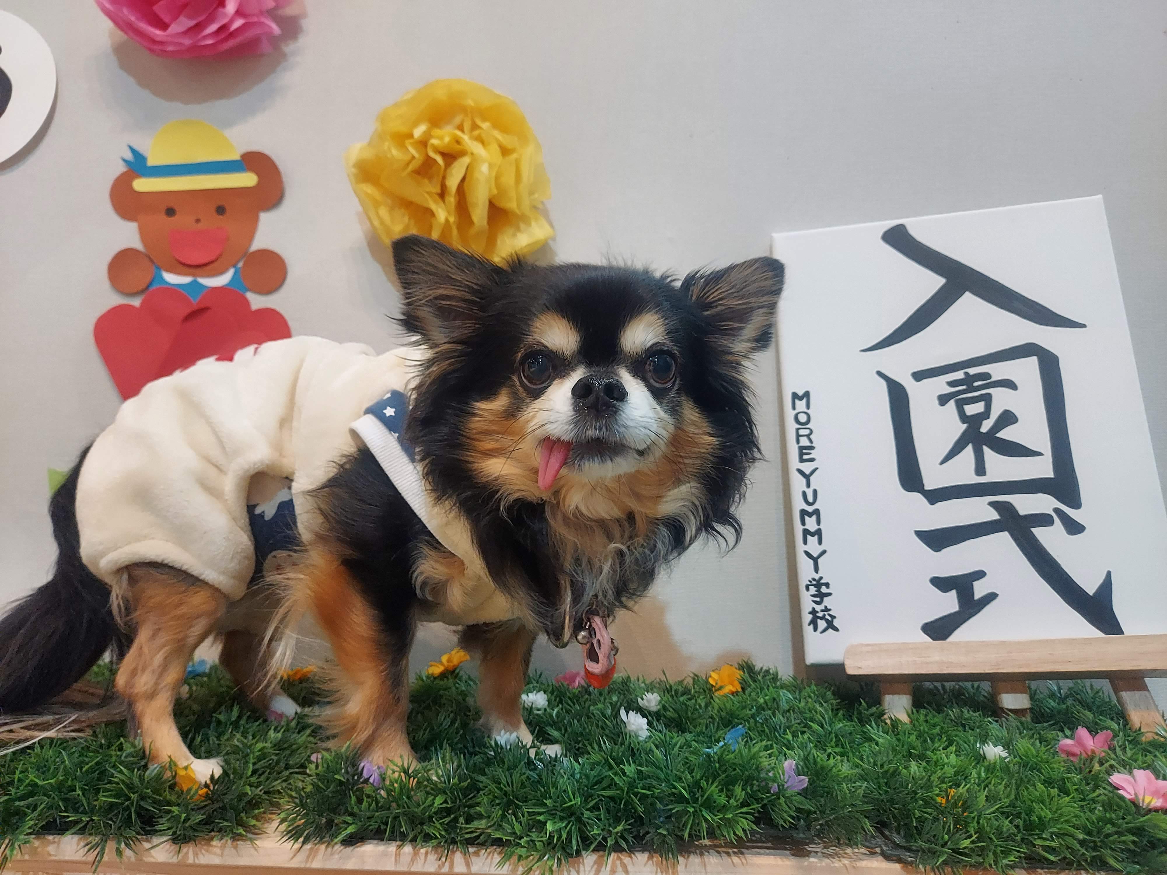 Cafe&Kitchen MoreYummy(カフェキッチン・モアヤミー)