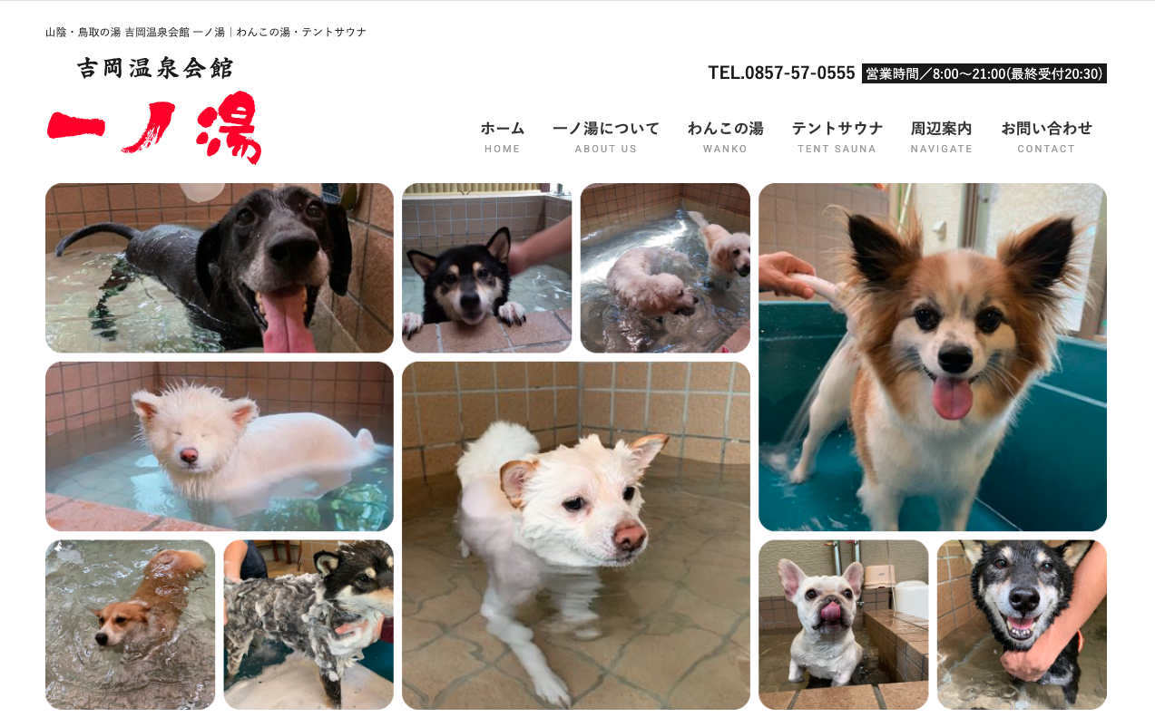 犬と入れる温泉・銭湯・岩盤浴特集