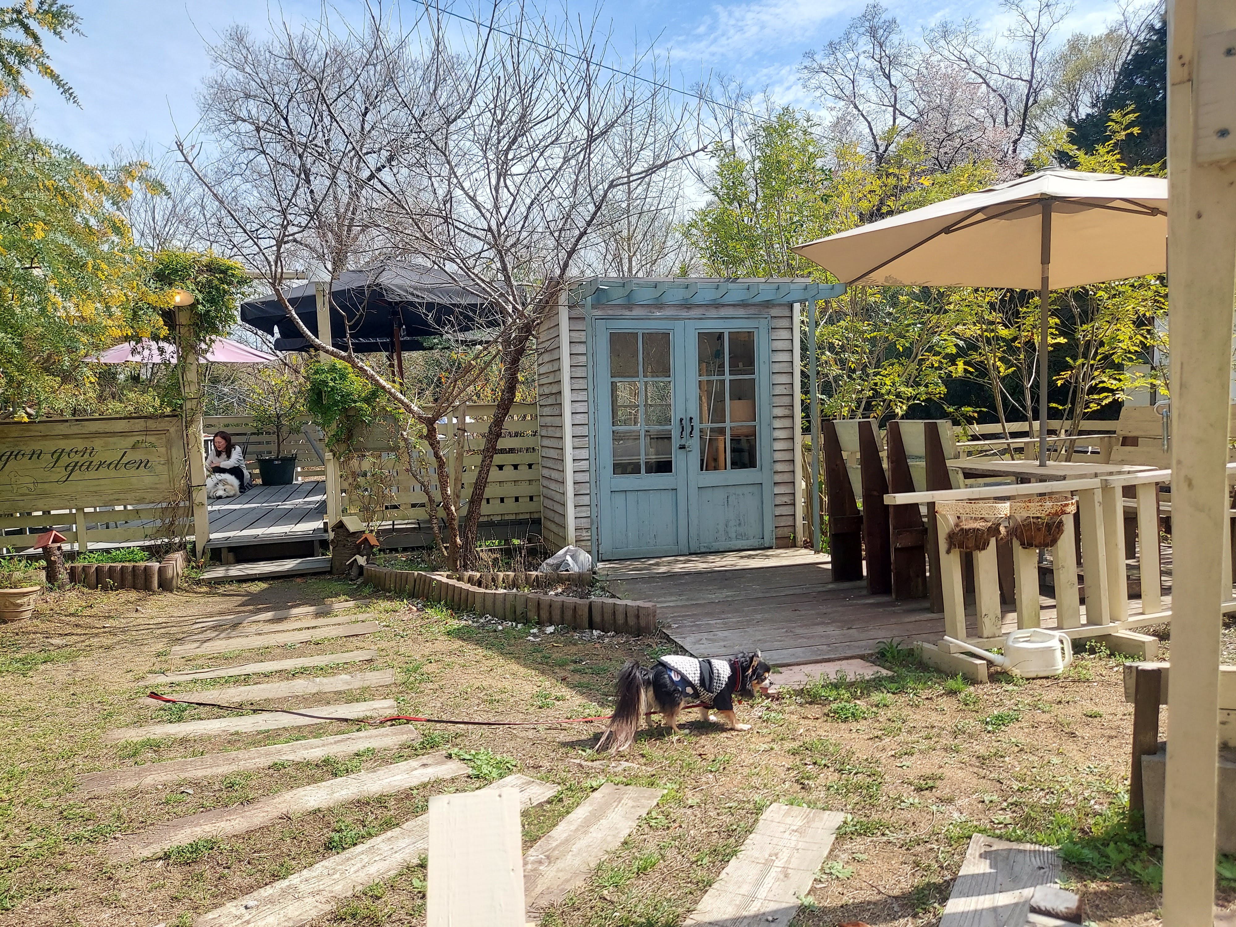 gongoncafe(ごんごんカフェ)