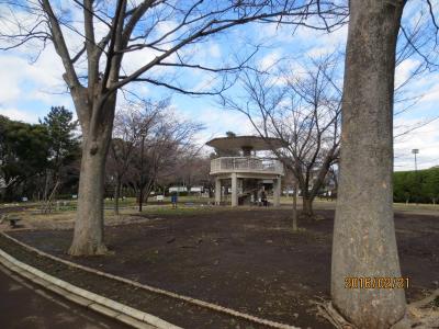 夢見ヶ崎動物公園