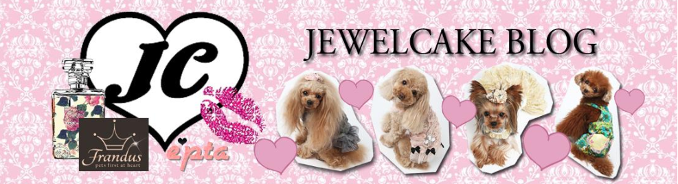 【関東】〜屋内の愛犬インスタ映えスポット まとめ〜