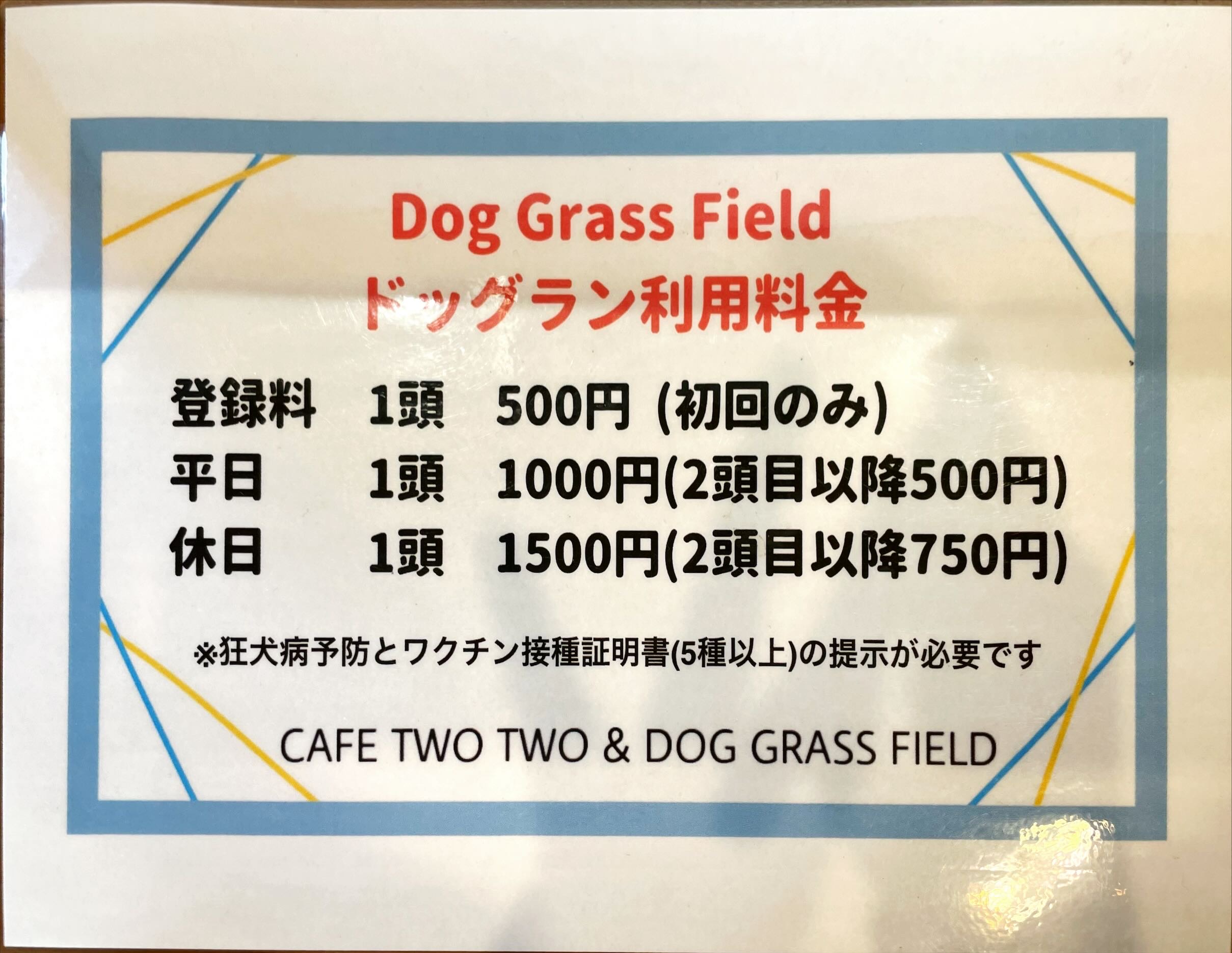 CafeTwoTwo&DogGrassField