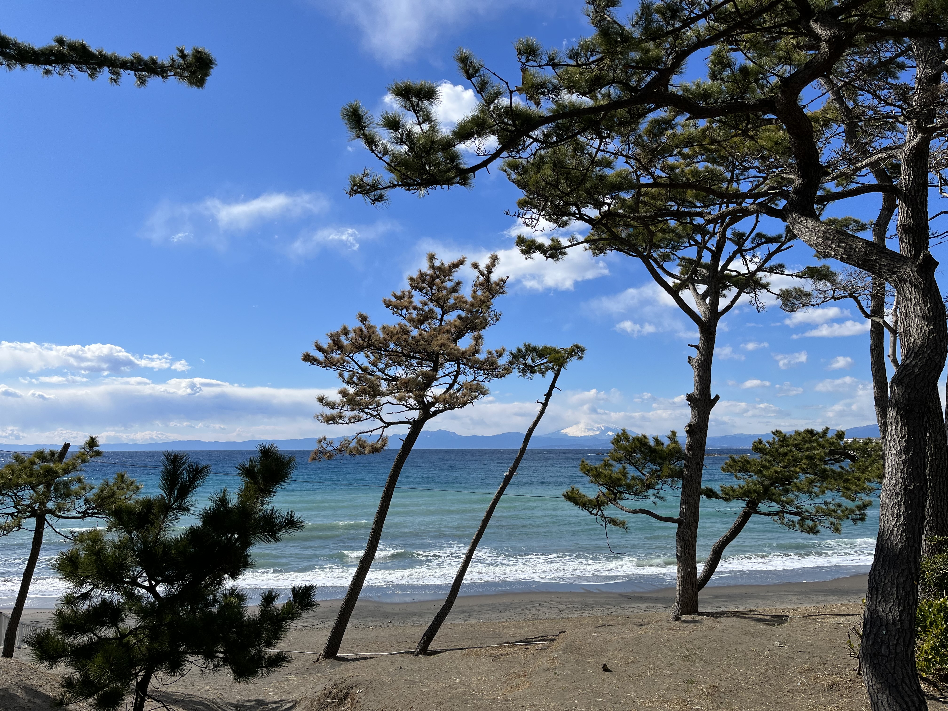 神奈川県