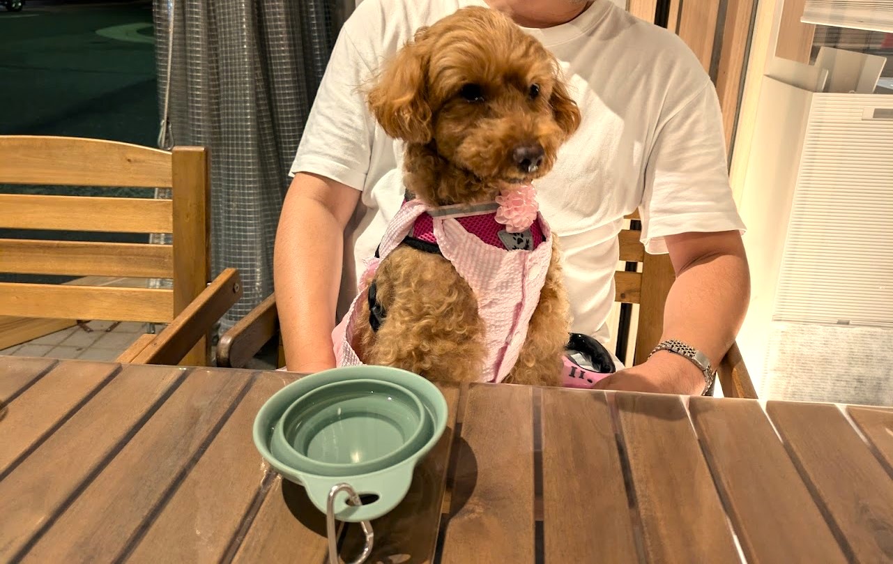 ビストロスリール