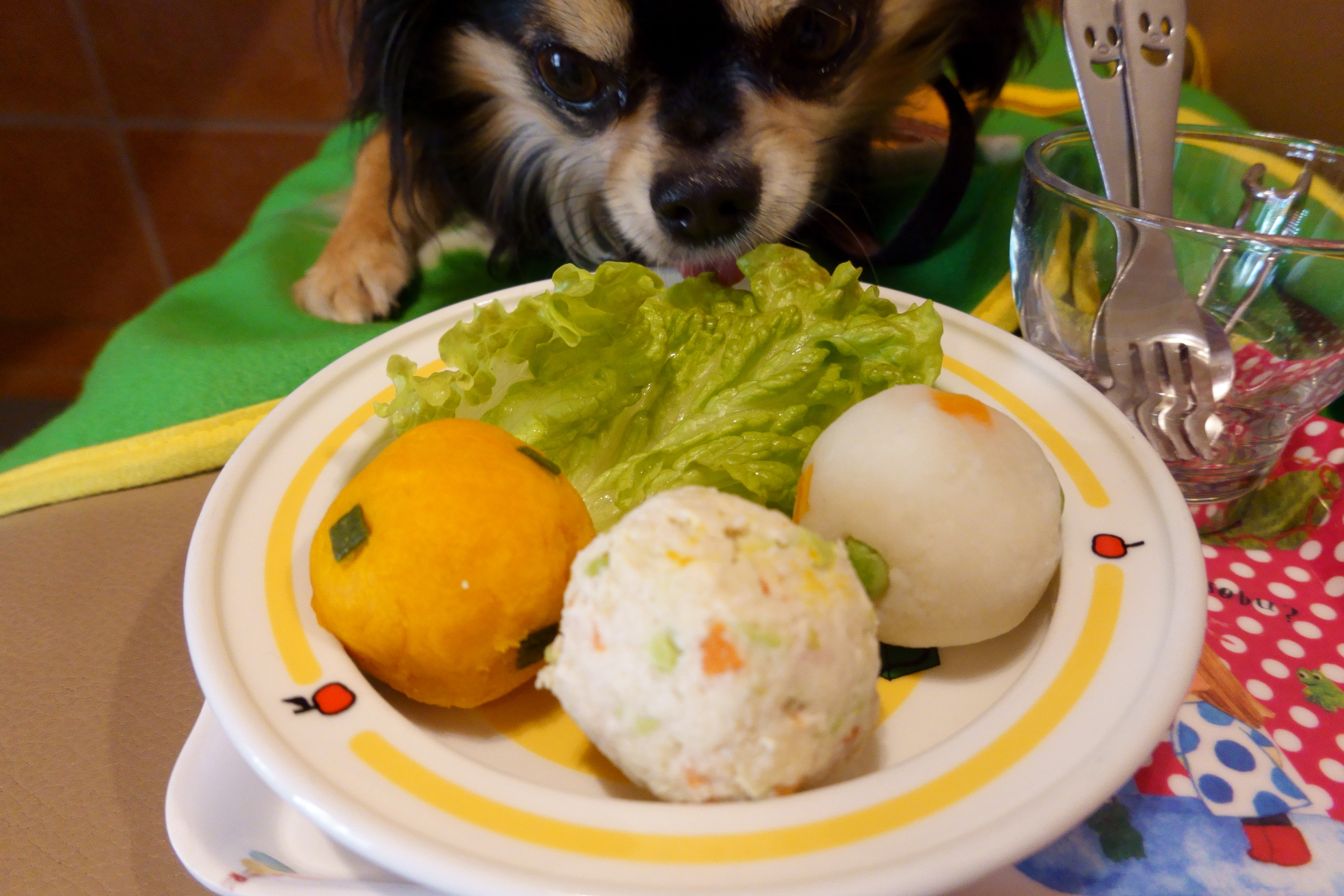 Dogcafe&salon