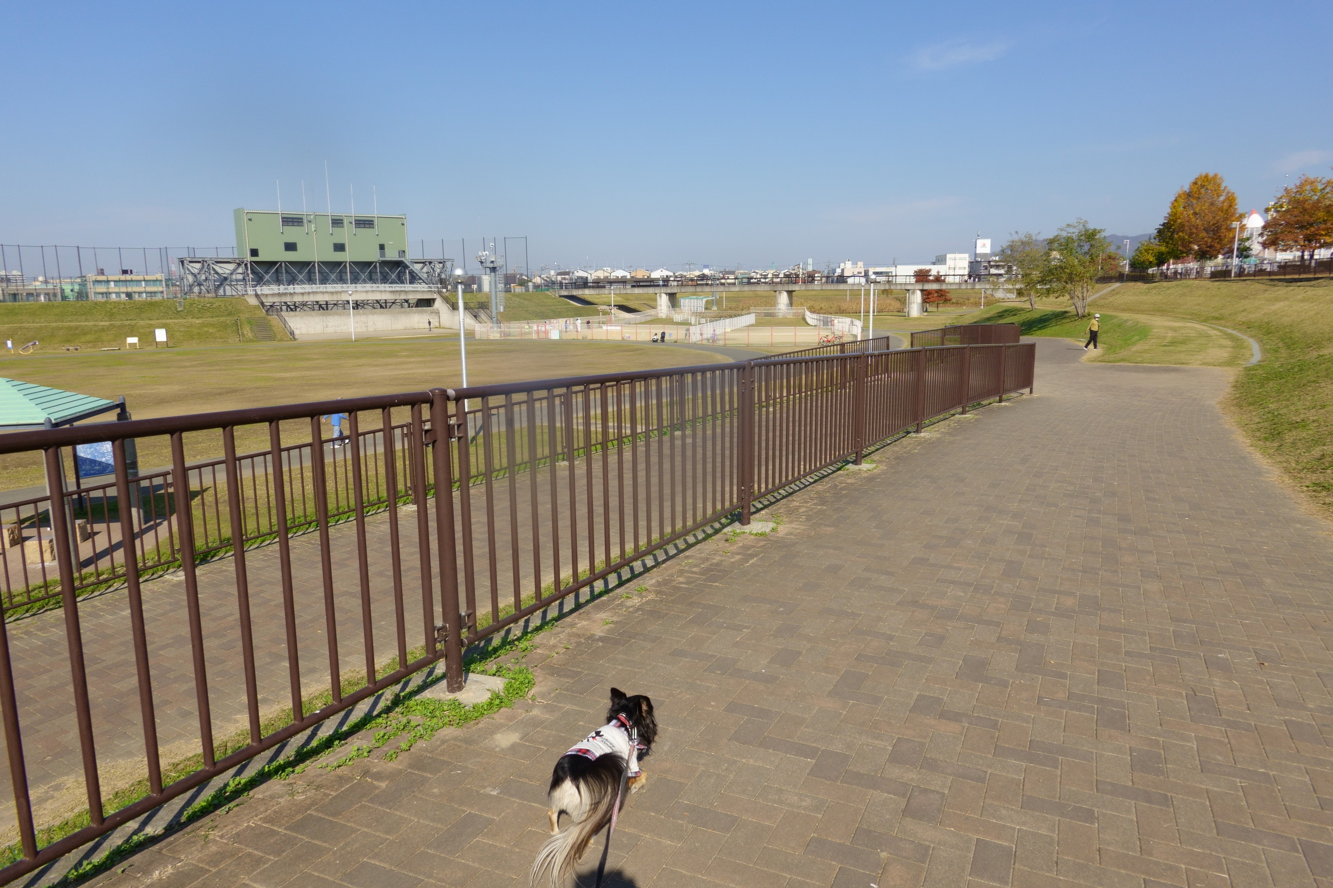 花園中央公園ドッグラン