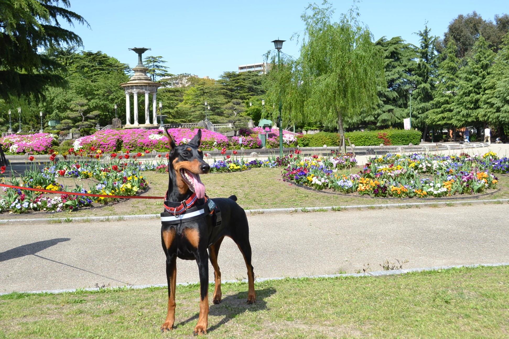 鶴舞公園