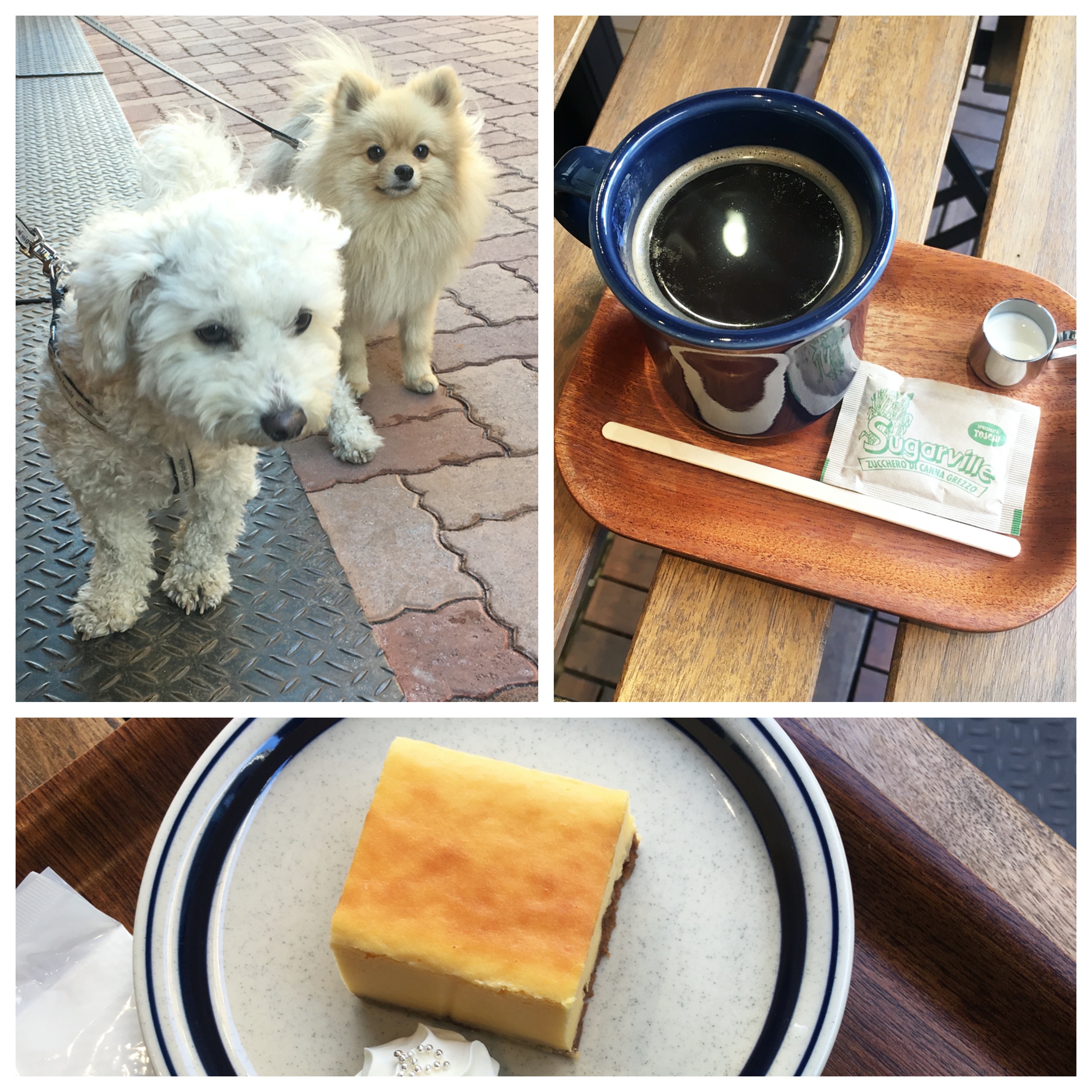 「大型犬も一緒に入れるお店」東京23区