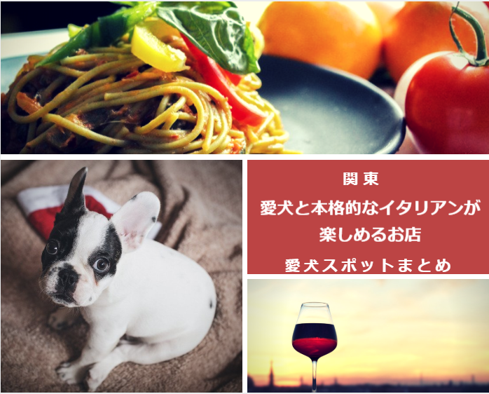 【関東】愛犬と本格的なイタリアンが楽しめるお店