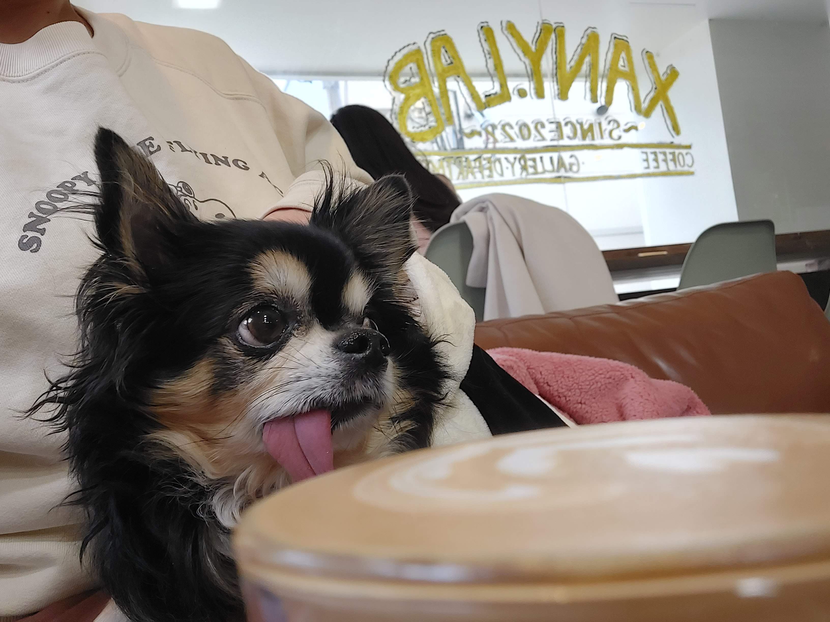 X.COFFEE（バイドットコーヒー）