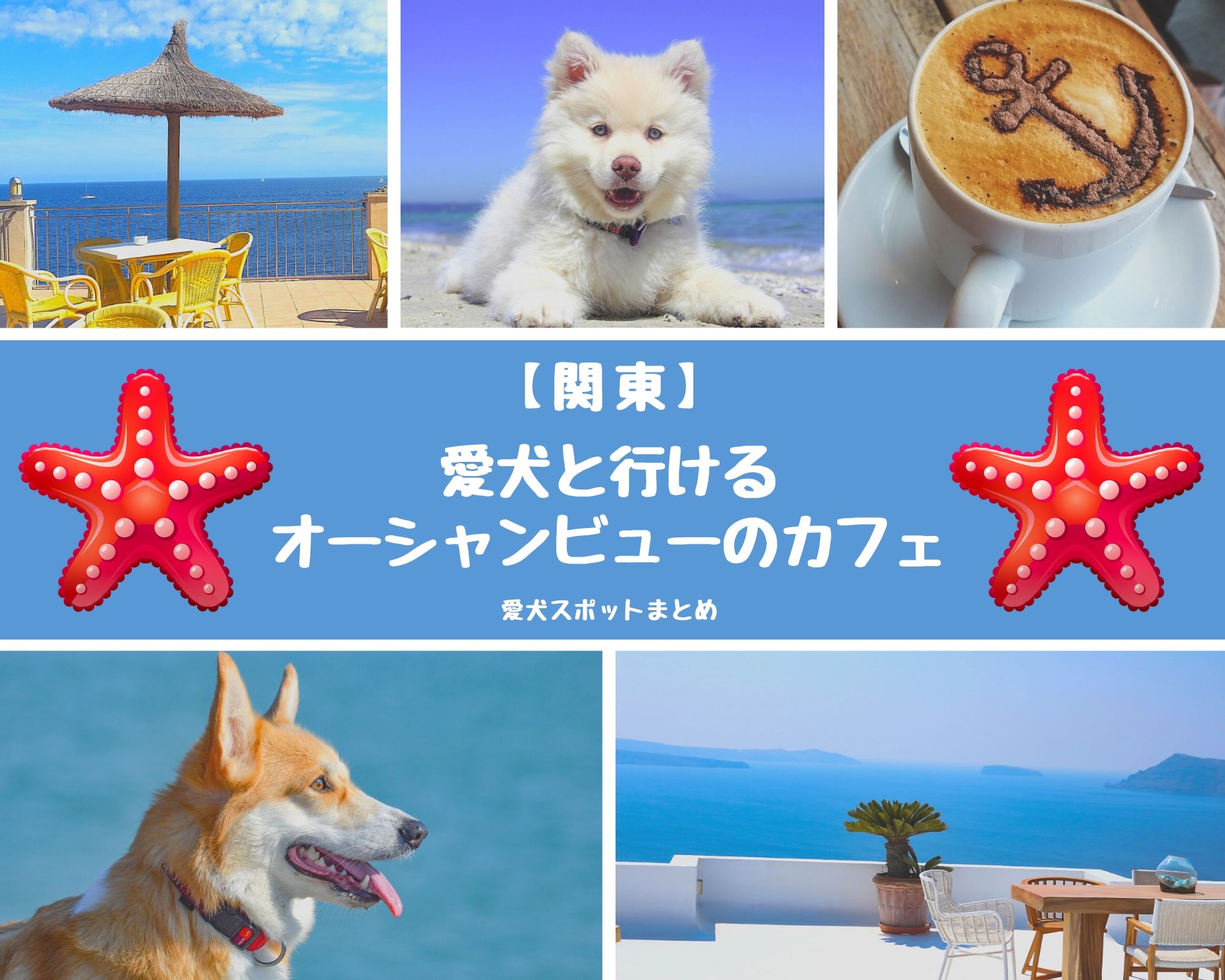 【関東】愛犬と行けるオーシャンビューのカフェ