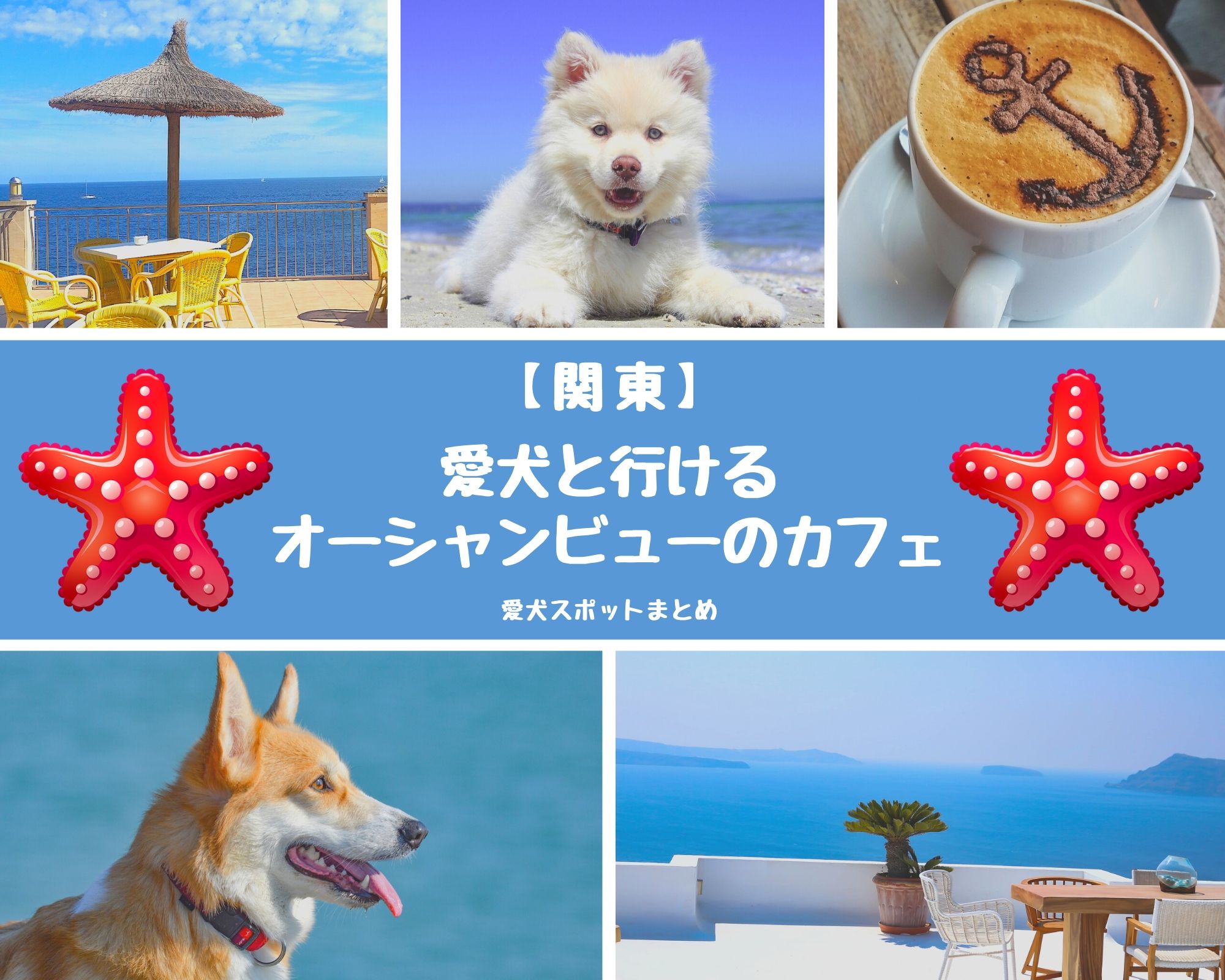 関東 愛犬と行けるオーシャンビューのカフェ ペットと一緒